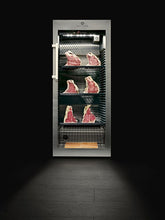 Lade das Bild in den Galerie-Viewer, DRY AGER DX 1000 PREMIUM